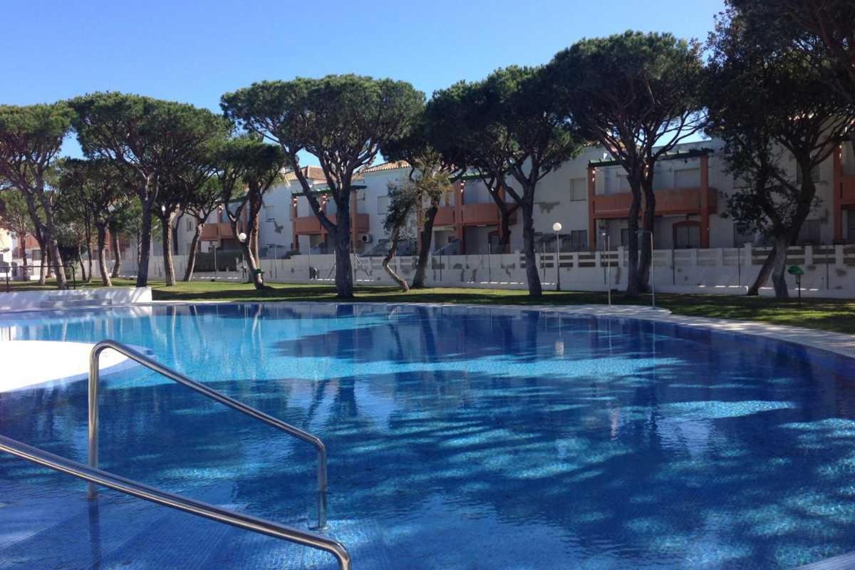 Apartament Magnifico 1